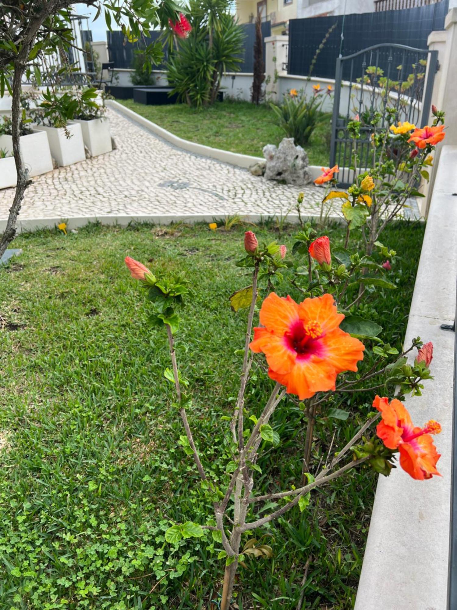 Nazare Oasis Suites Exteriör bild